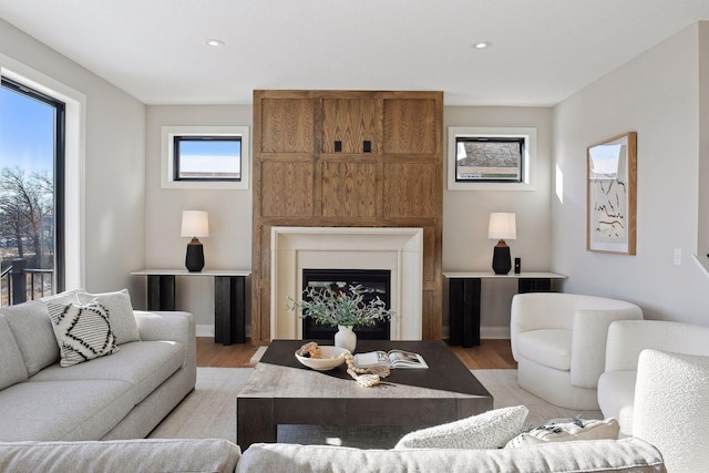 living room with light hardwood / wood-style flooring