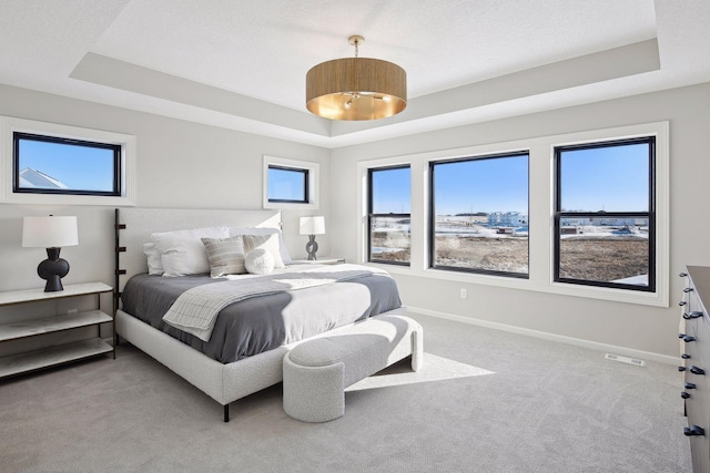 bedroom with a raised ceiling and carpet