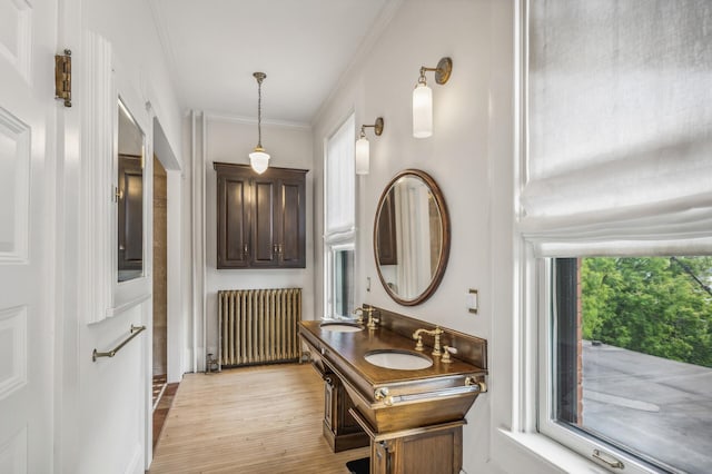 bathroom with hardwood / wood-style floors, vanity, ornamental molding, and radiator