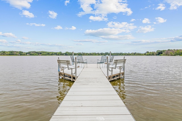 24439 Typo Creek Dr NE, Stacy, MN 55079 - photo 4