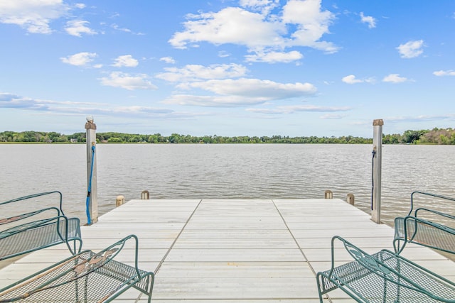24439 Typo Creek Dr NE, Stacy, MN 55079 - photo 97