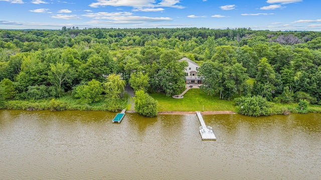 24439 Typo Creek Dr NE, Stacy, MN 55079 - photo 2