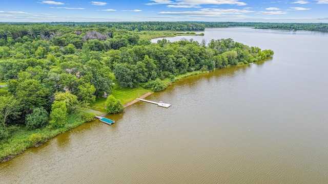 24439 Typo Creek Dr NE, Stacy, MN 55079 - photo 98