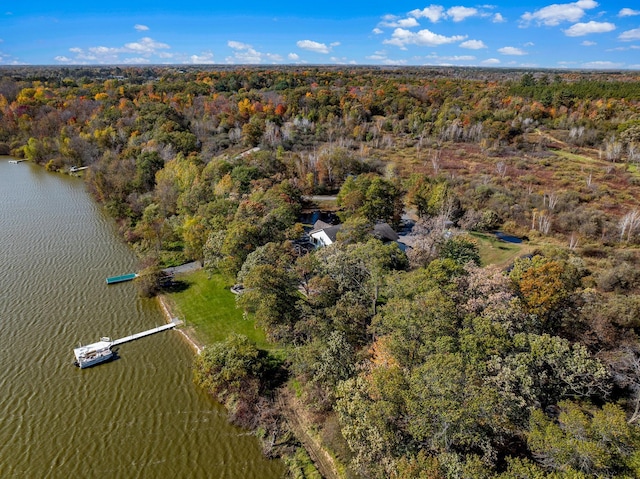 24439 Typo Creek Dr NE, Stacy, MN 55079 - photo 27