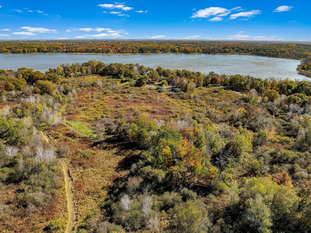 24439 Typo Creek Dr NE, Stacy, MN 55079 - photo 37