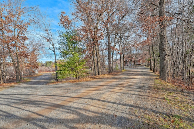 24439 Typo Creek Dr NE, Stacy, MN 55079 - photo 102