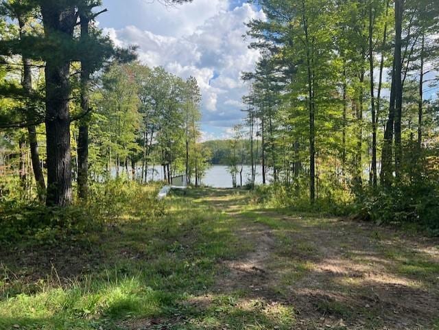 6704N Jonans Rd, Couderay WI, 54876 land for sale