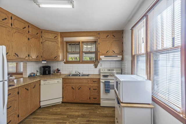 kitchen featuring white appliances, dark wood-type flooring, sink, and plenty of natural light