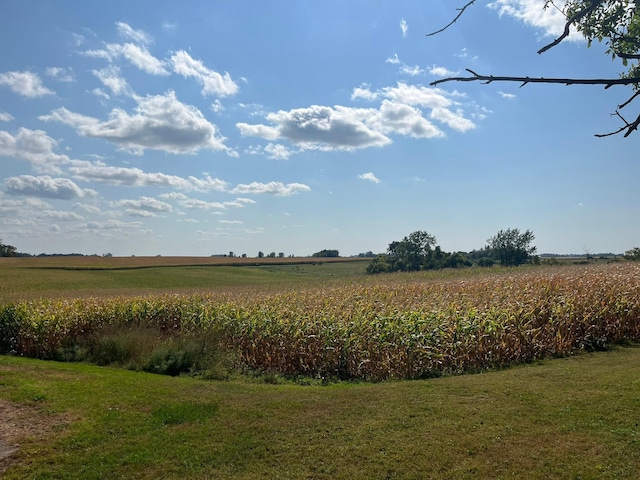 view of yard with a rural view