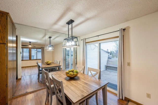 dining room with dark hardwood / wood-style flooring, a textured ceiling, and ceiling fan