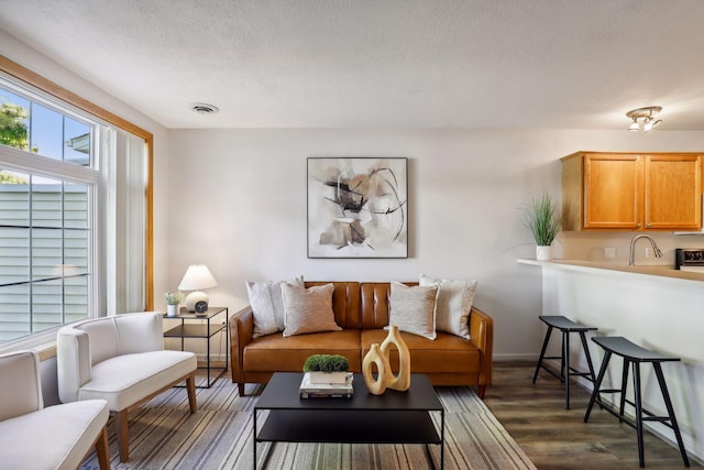 living room featuring a textured ceiling, sink, and dark wood-type flooring