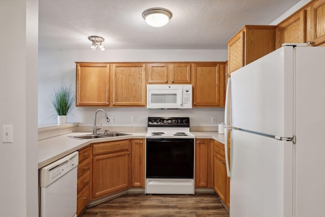 kitchen with dark hardwood / wood-style flooring, white appliances, a textured ceiling, and sink