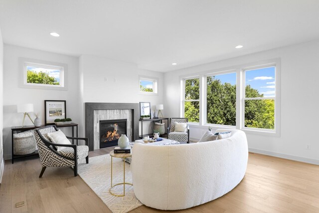 living room with light hardwood / wood-style flooring and plenty of natural light