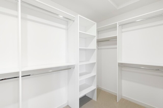 spacious closet with carpet flooring