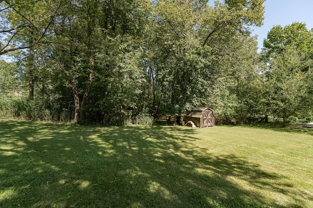 view of yard featuring a storage shed