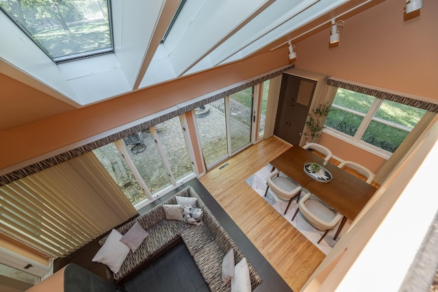 living room with rail lighting, hardwood / wood-style floors, and plenty of natural light