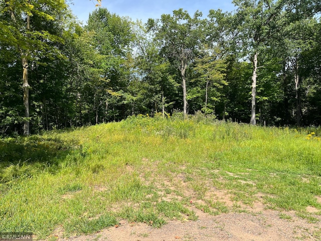 LOT6 186th St, Milltown WI, 54810 land for sale