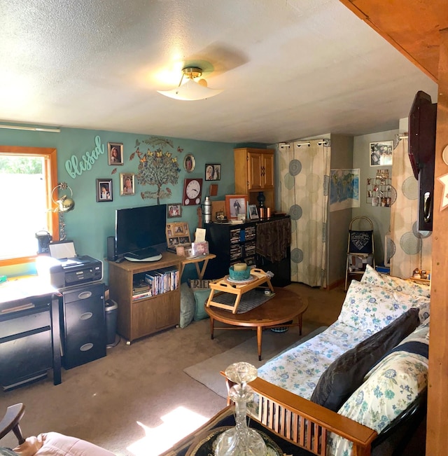 carpeted living room featuring a textured ceiling