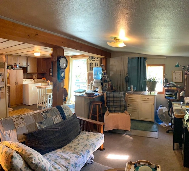 living room featuring light carpet, washer and dryer, and a textured ceiling