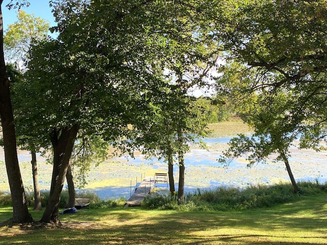 property view of water featuring a dock