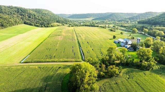 bird's eye view featuring a rural view