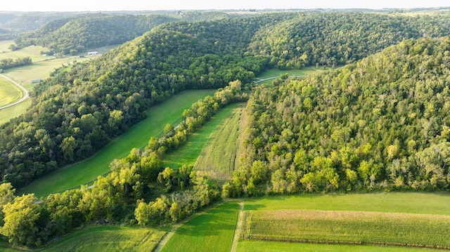 bird's eye view featuring a rural view