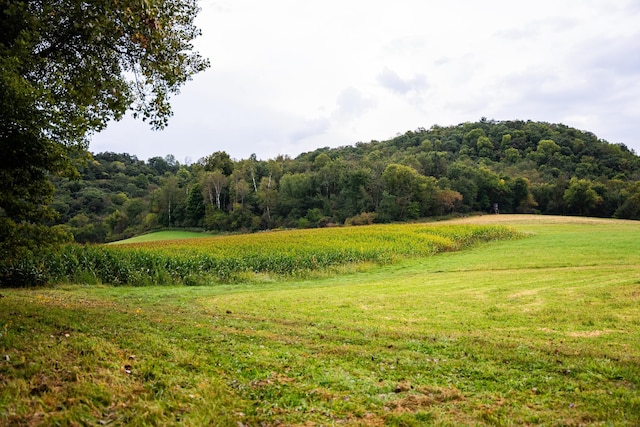 view of landscape