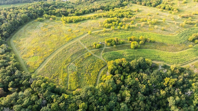 birds eye view of property with a rural view