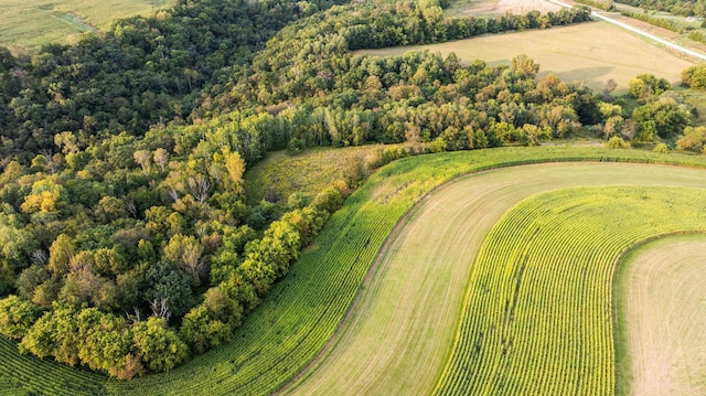 birds eye view of property with a rural view