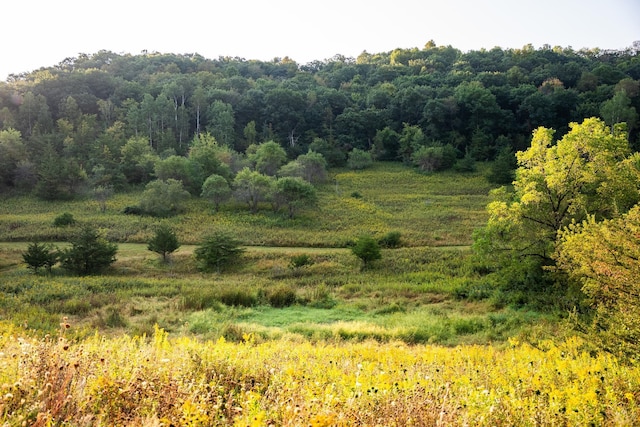 view of local wilderness