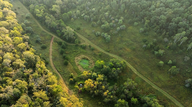 bird's eye view