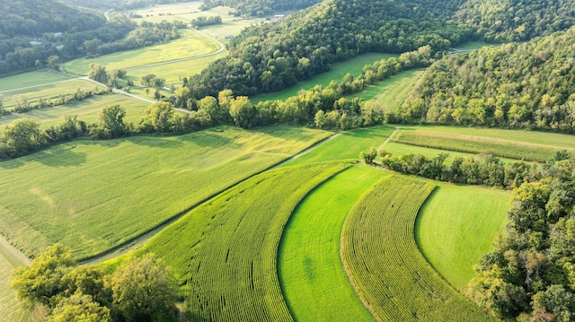 birds eye view of property with a rural view