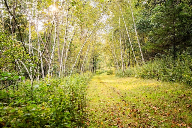 view of nature