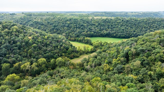 aerial view