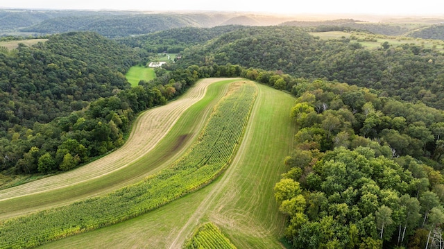 bird's eye view featuring a rural view