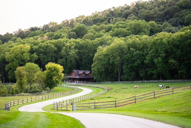 view of community featuring a lawn and a rural view