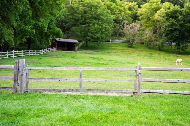 view of yard featuring a rural view