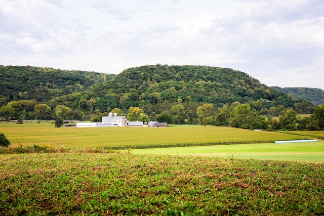 view of home's community with a rural view and a yard