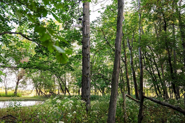 view of local wilderness featuring a water view