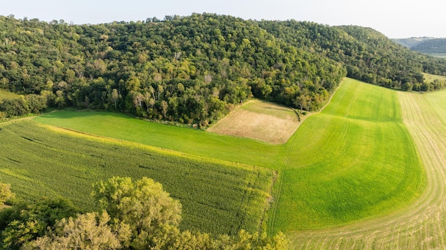 bird's eye view with a rural view