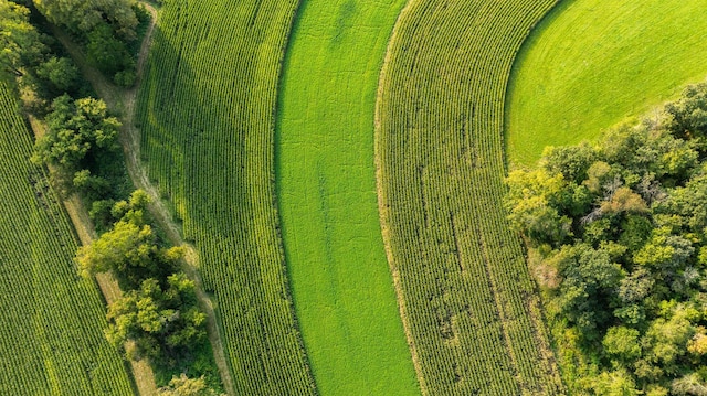 aerial view with a rural view