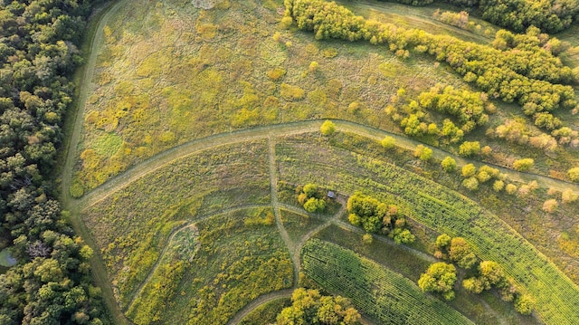 drone / aerial view with a rural view