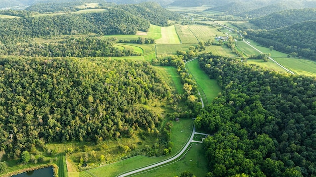 bird's eye view with a rural view