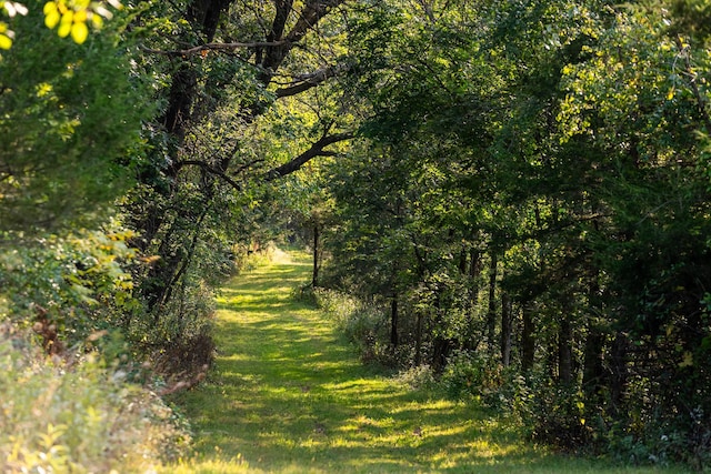 view of nature