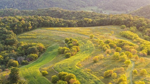 drone / aerial view with a rural view