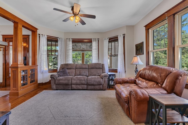 living room with a wealth of natural light, ceiling fan, and light hardwood / wood-style flooring