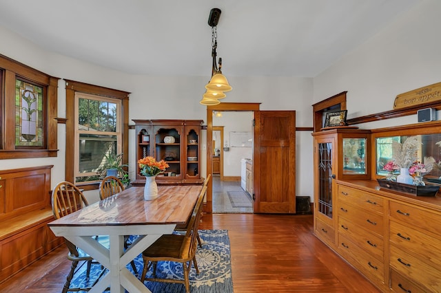 dining space featuring dark hardwood / wood-style flooring