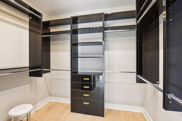 spacious closet with light wood-style flooring