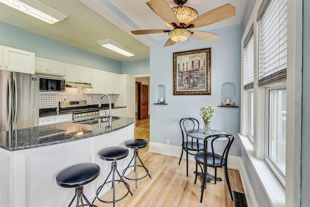 kitchen with backsplash, stainless steel appliances, light wood-type flooring, under cabinet range hood, and a sink