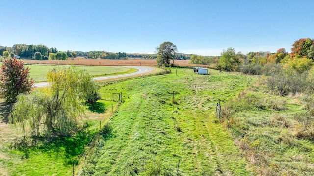 view of yard with a rural view